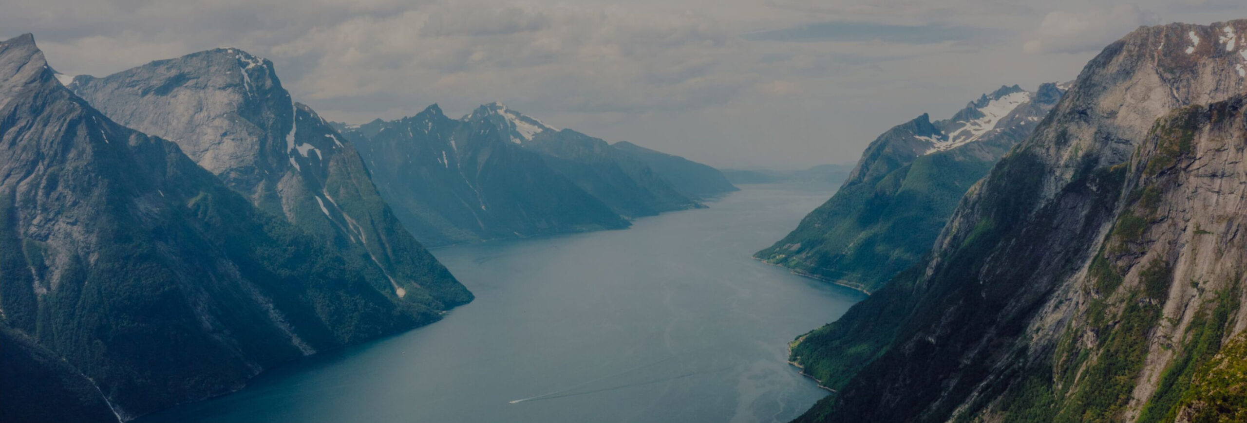 Section Background Image